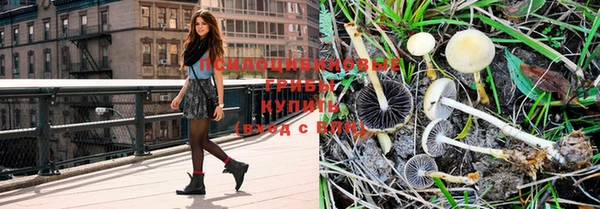 молекула духа Красноперекопск