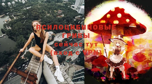 молекула духа Красноперекопск