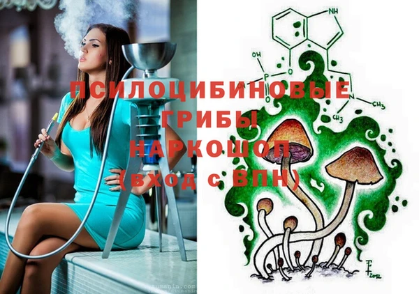 молекула духа Красноперекопск