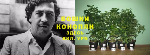 молекула духа Красноперекопск